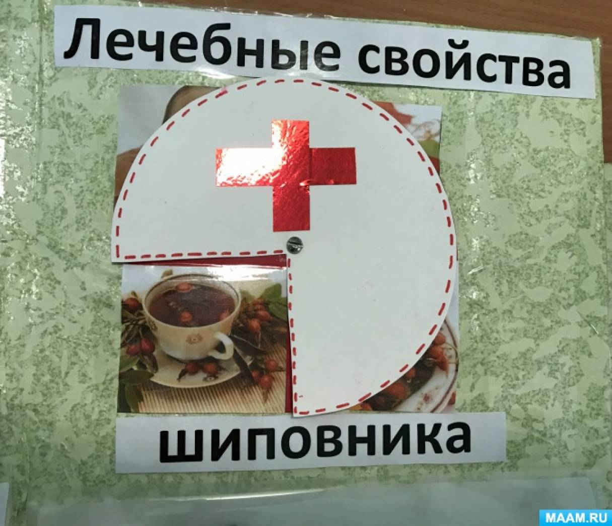 Смотреть фотографию №7 Фото №7 Где растет шиповник Задачи учить отвечать на поставленный вопрос развивать речь мышление тренировать мыслительную фантазию