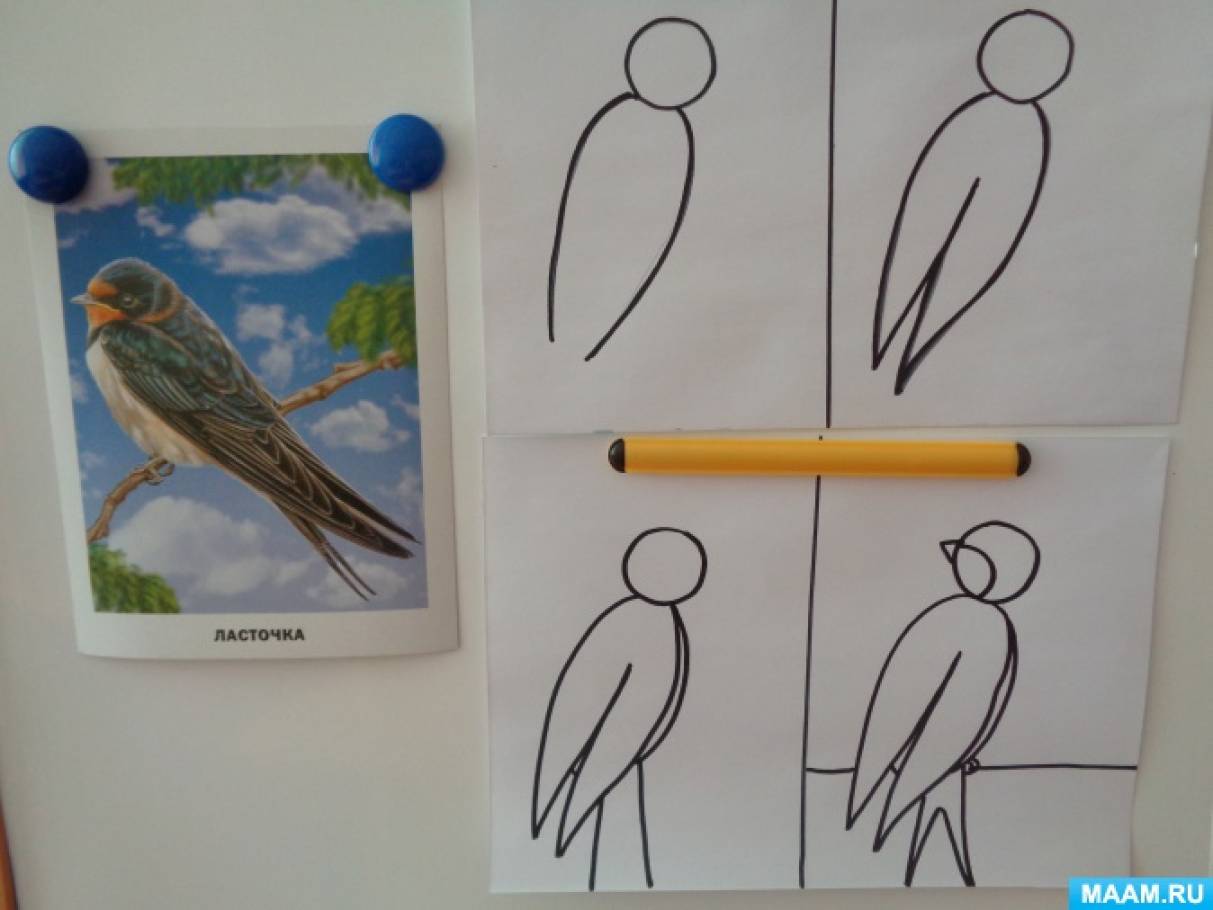 Занятие рисование перелетные птицы. Рисование перелетные птицы старшая. Рисование перелетные птицы старшая группа. Рисование в подготовительной группе на тему перелетные птицы.