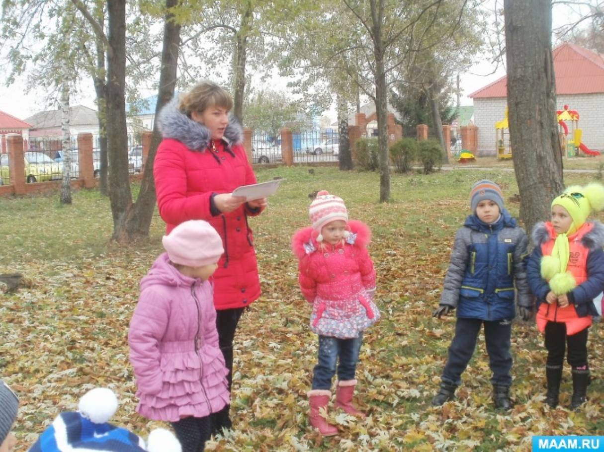 Экскурсия в «Осенний парк» старшая группа. Фото Экскурсия в «Осенний парк» старшая группа.