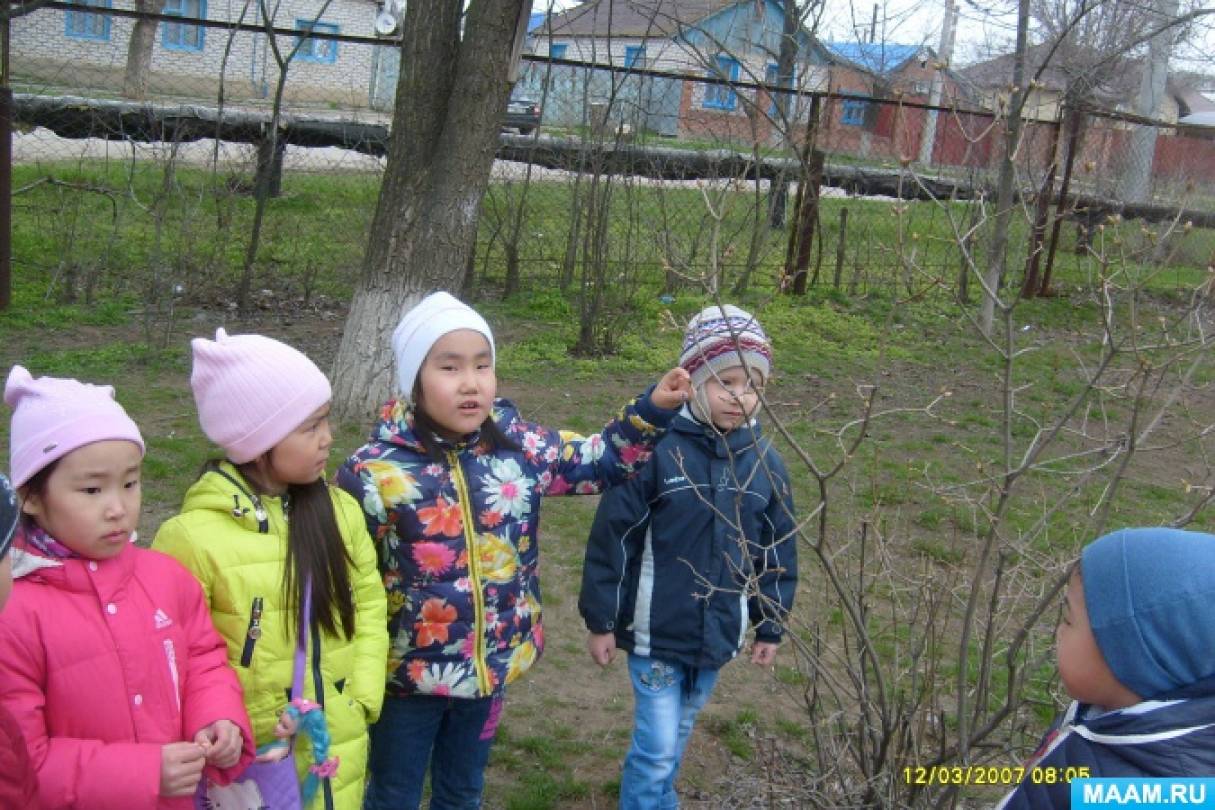 Смотреть фотографию №3 Фото №3 Развивать желание трудиться
