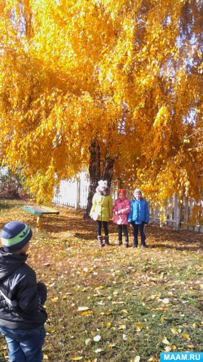 Конспект проведения прогулки «Чудная осенняя пора» Фото Конспект проведения прогулки «Чудная осенняя пора»