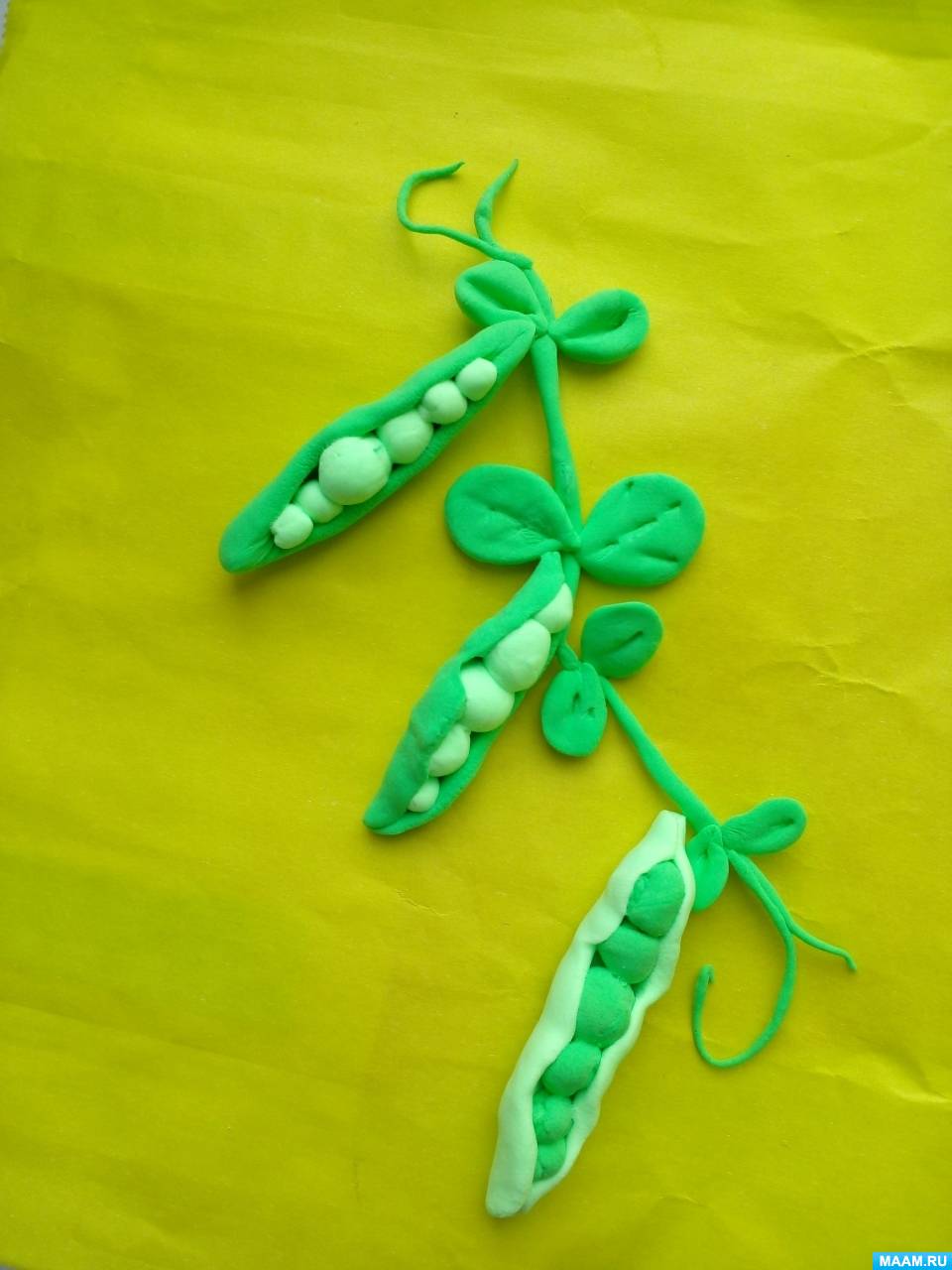 �������� ������� �� ����� �� ���������� ���������� �������� ������ � ������ ���