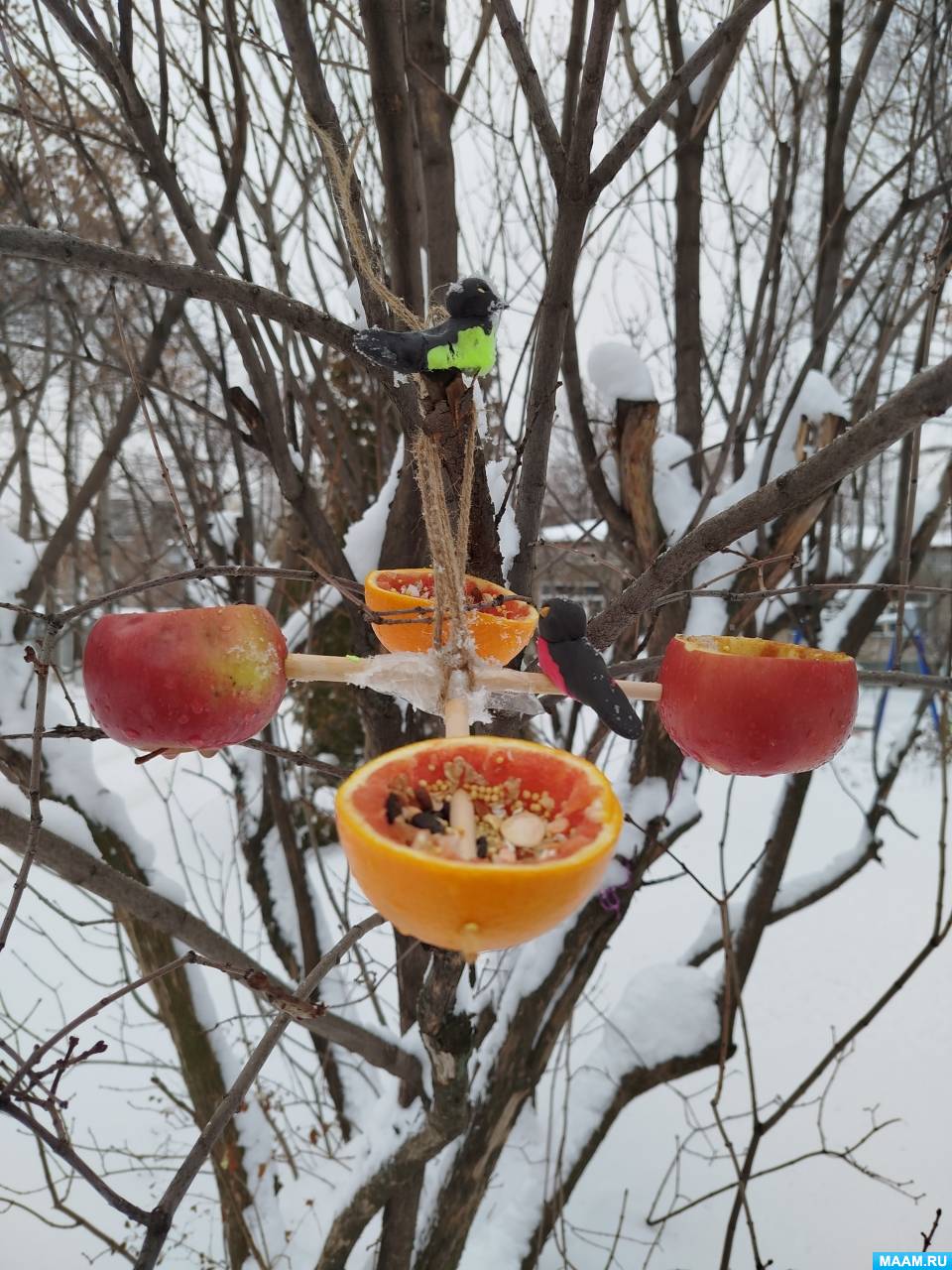 Фотоотчёт «ЭКО-кормушки для пичужки» с детьми ОВЗ (11 фото ...