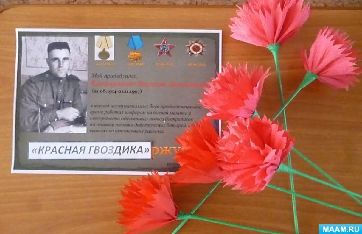 Проект красная гвоздика