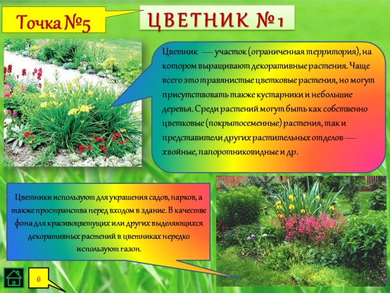 Экологическая тропа название проекта