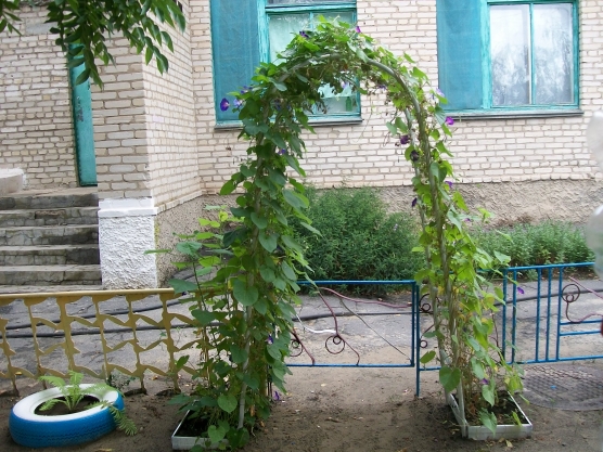 лучший участок в детском саду конкурс летом. Смотреть фото лучший участок в детском саду конкурс летом. Смотреть картинку лучший участок в детском саду конкурс летом. Картинка про лучший участок в детском саду конкурс летом. Фото лучший участок в детском саду конкурс летом