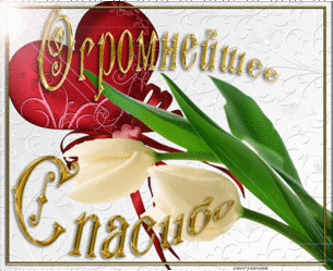 Смотреть фотографию №1 Фото №1 ПОЗДРАВЛЯЮ ВСЕХ КОЛЛЕГ