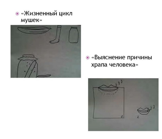 Смотреть фотографию №5 Фото №5 Но почти во всех изданных в методической литературе опытах нет схем их отображающих