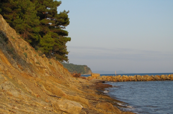 Смотреть фотографию №6 Фото №6 А это уже побережье Азовского моря