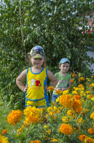 Фото №10 В тени березки на лавочке дышится легче