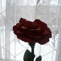 Роза из одноразовых ложек.