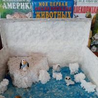 Мастер-класс по изготовлению макета «Арктика»