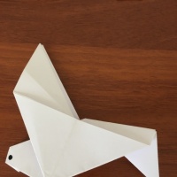 Мастер-класс для детей старшего дошкольного возраста в технике оригами «Голубь» ко Дню голубя мира на МAAM