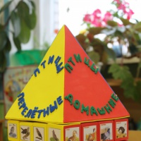 Магнитная игра «Птичий дом». Дидактическая игра для детей 5–7 лет