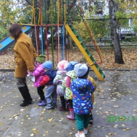 Фотоотчет о прогулке во второй группе раннего возраста «Наблюдение за березой осенью»