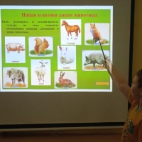 Конспект занятия в группе компенсирующей направленности детей с ТНР «Дикие животные»