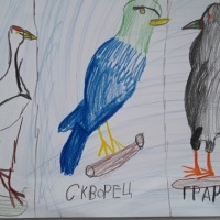 Конспект ООД по экологии «Перелетные птицы» в подготовительной к школе группе