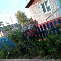 Фотозарисовка «Моя клумба»