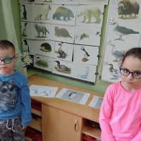 Коррекционное занятие по СБО «Привет с холодных берегов» для детей с нарушением зрения подготовительной группы