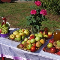 Фотоотчёт о мероприятии «Яблочный спас»