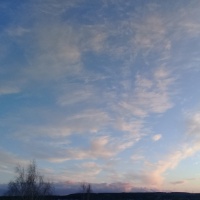 ˸                             