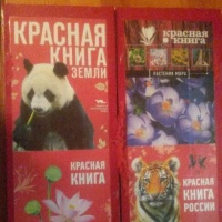 Бианки подкидыш чему учит. Смотреть фото Бианки подкидыш чему учит. Смотреть картинку Бианки подкидыш чему учит. Картинка про Бианки подкидыш чему учит. Фото Бианки подкидыш чему учит