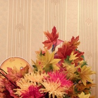 Как можно украсить группу осенью. Смотреть фото Как можно украсить группу осенью. Смотреть картинку Как можно украсить группу осенью. Картинка про Как можно украсить группу осенью. Фото Как можно украсить группу осенью Как можно украсить группу осенью. Смотреть фото Как можно украсить группу осенью. Смотреть картинку Как можно украсить группу осенью. Картинка про Как можно украсить группу осенью. Фото Как можно украсить группу осенью