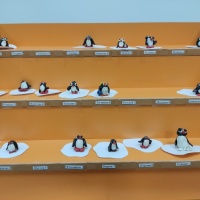 Конспект НОД по ознакомлению с окружающим миром и лепке «Пингвины на льдине» в подготовительной группе