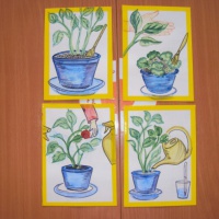 Конспект непосредственно образовательной деятельности по познавательному развитию «Мир комнатных растений»