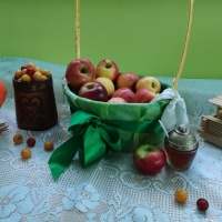 Фотоотчет «Яблочный Спас в средней группе»