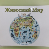 Кто что ест задания для детей 3 лет. Смотреть фото Кто что ест задания для детей 3 лет. Смотреть картинку Кто что ест задания для детей 3 лет. Картинка про Кто что ест задания для детей 3 лет. Фото Кто что ест задания для детей 3 лет