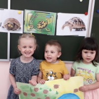 Планирование тематического дня «День черепахи» для детей младшей группы