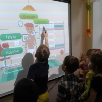 Использование интерактивной доски в образовательной работе.