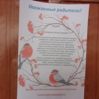 Фотоотчёт о проведении акции «Покормите птиц зимой» в старшей группе