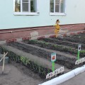 У входа Вас встретит мудрая сова которая расположилась на пеньке под старой елью