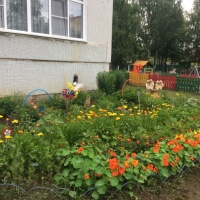 Главное что клумба сохраняла привлекательный вид в течение всего сезона а растения сочетались между собой по форме и цвету