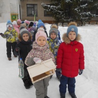 Прогулка в старшей группе «Наблюдение за голубями»