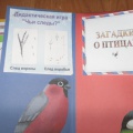 Зимующие птицы зимующая птица или какие издаё т звуки