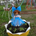 Летний участок