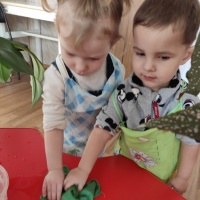 Все о растениях для детей комнатные растения