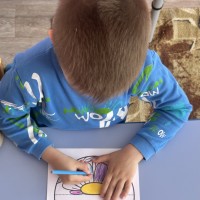 ���� �������� ���������� ������������ �����