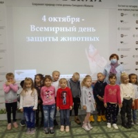 акция всемирный день защиты животных в доу. Смотреть фото акция всемирный день защиты животных в доу. Смотреть картинку акция всемирный день защиты животных в доу. Картинка про акция всемирный день защиты животных в доу. Фото акция всемирный день защиты животных в доу