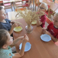 Фотоотчет об экспериментальной деятельности в подготовительной к школе группе «Тематическая неделя «Хлеб — всему голова»