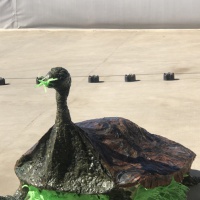 Мастер класс «Галапагосская черепаха» в рамках проекта Art&eco «Исчезающие виды животных»