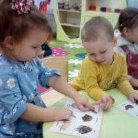 Ежегодно во многих странах ноября празднуется Всемирный день