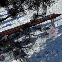 ��� ������� ����� ���