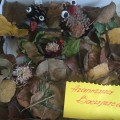 Фотоотчет выставки «Осенние фантазии-2015»