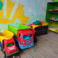 ягоды цветы явления природы