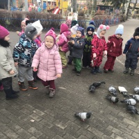 Конспект занятия «Зимующие птицы»