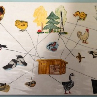Обобщающее лексико-грамматическое занятие в старшей группе детей с ОВЗ «Дикие и домашние животные и птицы»